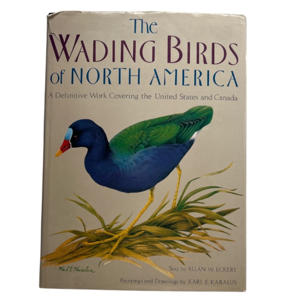 Vintage Hardcover 1987 Book The Wading Birds of North America" A. W. Eckert